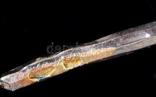 Ezüst (Ag) oljaág, jelzett, nettó: 90g, h: 36 cm. (Az olajfa ága "katinos" a bölcsesség, a...