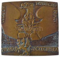 Lengyel Népköztársaság ~1960-1980. Kreatív és dolgos emberek kétoldalas bronz emlékplakett (100x98mm) T:1- patina Polish Peoples Republic ~1960-1980. Creative and busy people two-sided bronze commemorative plaque (100x98mm) C:AU patina