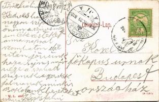 1908 Törökbálint, Meller Rudolf kastélya. W.L. 4309. (kopott sarkak / worn corners)