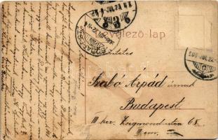 1908 Jászberény, megyeháza. W.L. 208. (szakadás / tear)