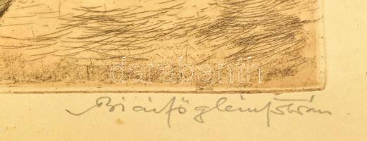 Biai-Föglein István (1905-1974): Virágok. Színezett rézkarc, papír, jelzett, lap széle kissé foltos,...