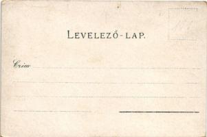 Budapest, Deák szobor, Pest látképe, Lánchíd, címer. Schneider & Lux Art Nouveau, floral, litho ...