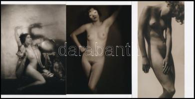 Három hölgy a régmúltból újra feléled 3 db modern fotónagyításon, szolidan erotikus felvételek, 15x10 cm
