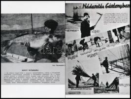 cca 1960 Velencei-tó, fogas-süllő és nádaratás Gárdonyban, Sinka Antal (?-?) fényképész és fotóriporter hagyatékából, 2 db korabeli újságcikk fotómásolata, modern nagyítás, 15x10 cm