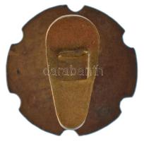 Osztrák-Magyar Monarchia ~1914-1918. Zománcozott fém patrióta gomblyukjelvény, a központi hatalmak z...