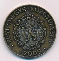 Ecsedi Mária (1941- ) 2009. "Ezeréves vármegyék 1009. / Pest Megye Közgyűlése 2009." bronz...