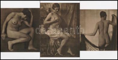cca 1920 Pécsi József (1889-1956) fényképész és fotóművész műtermében készült akt felvételek, 3 db modern fotónagyítás, 15x10 cm