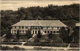 1926 Báznafürdő, Baile Bazna, Bad-Baassen; Vila Sorento / Sorento villa. Holzträger & Zammerer kiadása / villa, spa