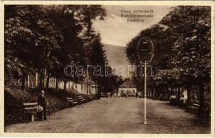 1932 Báznafürdő, Baile Bazna, Bad-Baassen; Aleea principala / Hauptpromenade / Fősétány / spa, promenade (EK)