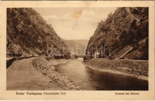 Vöröstoronyi-szoros, Roter-Turm-Pass, Pasul Turnu Rosu; Román oldal, Brezoi vasúti alagút / Rumänischer Teil, Tunnel bei Brezoi / Romanian side, railway tunnel (EK)