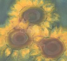 Macskássy Izolda (1945-2021): Napraforgók. Selyemkollázs, jelzett. Üvegezett fakeretben. 14,5x9,5 cm