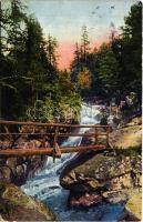 1916 Tátra, Vysoké Tatry; Nagytarpataki felső vízesés / Gross Kohlbach, Oberer Wasserfall / waterfall (EB)