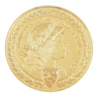 DN "Magyar Aranyóriások - Hunyadi Mátyás koronázása 1464" aranyozott Cu emlékérem tanúsítv...