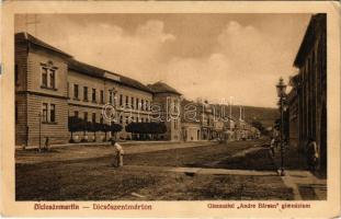 1931 Dicsőszentmárton, Tarnaveni, Diciosanmartin; Gimnaziul Andre Barsan / gimnázium. Koloman Dosztal kiadása / street view, grammar school (EK)