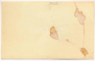 Nagydisznód, Erholungsheim Heltau, Cisnadie; Nagyszebeni Ipari tisztviselők szindikátusa / Syndikat ...