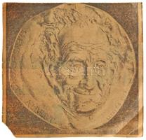 Lisztes István (1942-) 1974. "Szent-Györgyi Albert" egyoldalas bronz plakett (~90mm) + Az ...