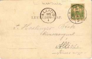 1903 Gyulafehérvár, Karlsburg, Alba Iulia; Károly-kapu / Karlstor / castle gate (EK)