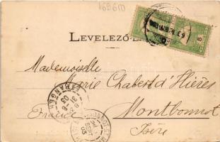 1903 Herkulesfürdő, Herkulesbad, Baile Herculane; Gyógyterem, Gyógyliget. Jäger kiadása / Cursalon, ...