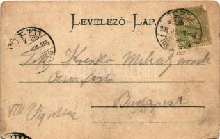 1906 Túri-hasadék, Cheile Turului (Tordatúr, Tureni); Túri-hasadék a malommal. Füssy és Sztupjár kia...