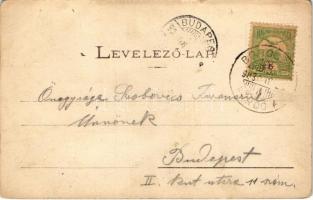 1903 Borosznófürdő, Brusno-kúpele (Borosznó, Brusznó, Brusno); Kneipp-víztaposó. Lechnitzky O. fényn...