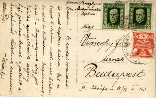 1926 Stubnyafürdő, Túróchévíz, Stubnianske Teplice, Turcianske Teplice; fürdő vendégek csoportképe /...