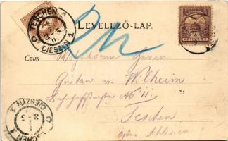 1901 Stubnyafürdő, Túróchévíz, Stubnianske Teplice, Turcianske Teplice; Park, szökőkút. Kohn Ede kia...