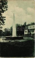 1925 Ránkfüred, Rank-Herlány, Ránkherlány, Rank Herlein, Herlany (Kassa, Kosice, Kaschau); Ránki szökőforrás, gejzír / Herliansky geyzír / geyser, fountain, spa (fa)