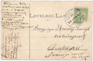 1908 Vihnye, Vihnyefürdő, Kúpele Vyhne; nyaraló, szálloda / spa, hotel, villa. Art Nouveau, floral (...