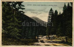 1932 Lucski-fürdő, Lúcky Kúpele (Liptó); Dolina medzi liptovskou a oravskou zupou / völgy / valley (EK)
