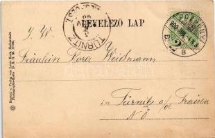 1900 Pozsony, Pressburg, Bratislava; Vaskutacska. Louis Koch Photographie-Karte / Eisenbrünnel (Eise...