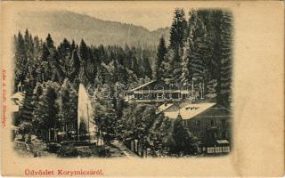 Koritnyica, Korytnica; Szökőkút, Schweiz nyaraló. Kohn A. kiadása / fountain, villa, spa (fl)