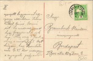 Trencsénteplic, Trencianske Teplice; Villa Margit, Villa Dr. Heinrich / villas, spa (EB)