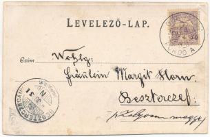 1900 Borosznófürdő, Brusno-kúpele (Borosznó, Brusznó, Brusno); Fürdőház, Lajos lak. Szecessziós virá...