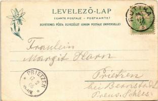1905 Tátra, Magas-Tátra, Vysoké Tatry; Kriván csúcsa, hegymászó felszereléssel. Feitzinger Ede 1904/...