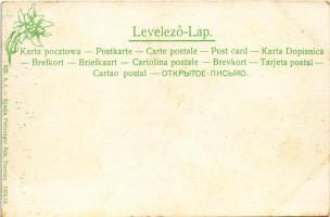 Zsolna, Sillein, Zilina; Hrad Budatín / Budatin vára a Vágnál Zsolna mellett. Feitzinger Ede 1904/14...