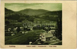 1929 Kolibica, Colibita; Vedere totala / Gesamtansicht / Teljes látkép. Gustav Zikeli kiadása / general view (EK)
