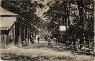 1925 Zajzon, Zaizon-fürdő, Zajzonfürdő, Zizin; Parcul / Park / park, spa (EK)