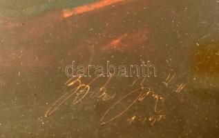 Olvashatatlan jelzéssel: Akt. Olaj, plexi. Üvegezett keretben, 48,5x38 cm