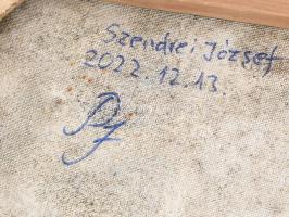 Szendrei József (1989-, "Pesti Józsi"): Gondolkodó. Olaj, vászon. Jelzett. 67x50 cm