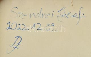 Szendrei József (1989-, "Pesti Józsi"): Absztrakt kompozíció. Olaj, vászon. A művész által...