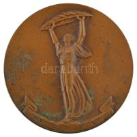 DN Szabadság-szobor - 1945-1970 egyoldalas bronz emlékérem (70mm) T:1- patina
