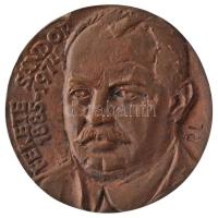 Rajki László (1939-) ~1974. Fekete Sándor 1885-1974 egyoldalas bronz emlékérem (68mm) T:1-