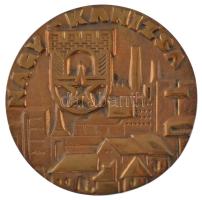 ~1970-1980. Nagykanizsa egyoldalas bronz emlékérem (110mm) T:1-