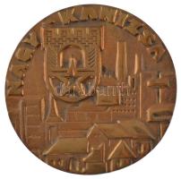 ~1970-1980. "Nagykanizsa" egyoldalas bronz emlékérem (110mm) T:1-