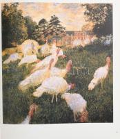 Monet. Világhíres Festők 8. kötet. Bp., 2005, Kossuth. Kiadói kartonált papírkötés, kissé foltos bor...