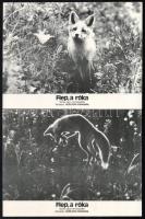 cca 1978 ,,Flep, a róka című japán természetfilm jelenetei és szereplői, 8 db produkciós filmfotó, nyomdatechnikai eljárással sokszorosítva, kartonlapon, egyoldalas nyomással, a használatból eredő - esetleges - kisebb hibákkal, 18x24 cm
