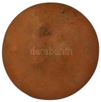 Renner Kálmán (1927-1994) DN "Rex Hungariae" egyoldalas bronz emlékérem (110mm) T:1- kis p...