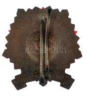 ~1960. "Határőrség - Járőrparancsnok" ezüstözött, részben tűzzománcos bronz szolgálati jel...