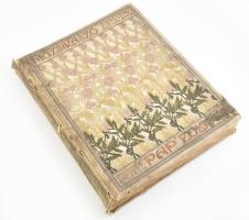 Pap Zoltán: Muzsikaszó. Regény dalban. A szerző, Pap Zoltán (1862-1919) által Dr. Bakay Lajos (1880-...