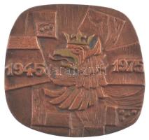 Lengyelország / Szczecin 1975. Szczecin város első bélyegzője kétoldalas öntött bronz emlékérem nem eredeti tokban (65x70mm) T:1 Poland / Szczecin 1975. First Stamp of the City of Szczecin two sided cast bronze commemorative medallion in not original case (65x70mm) C:UNC